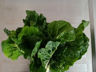 Spinach Swiss